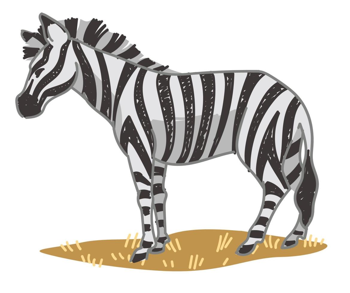 Zebra-Pferdetier mit Streifen auf Hautvektor vektor