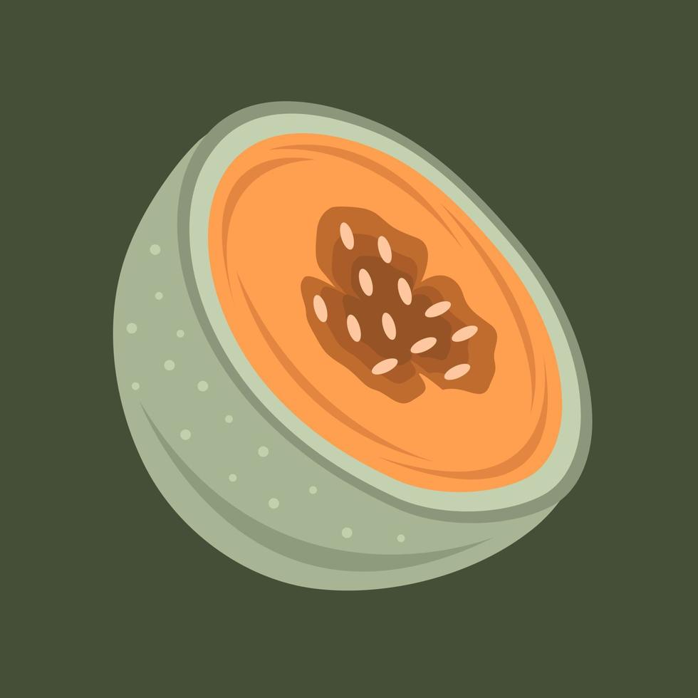 Muskmelon-Fruchtscheiben-Vektorillustration für Grafikdesign und dekoratives Element vektor