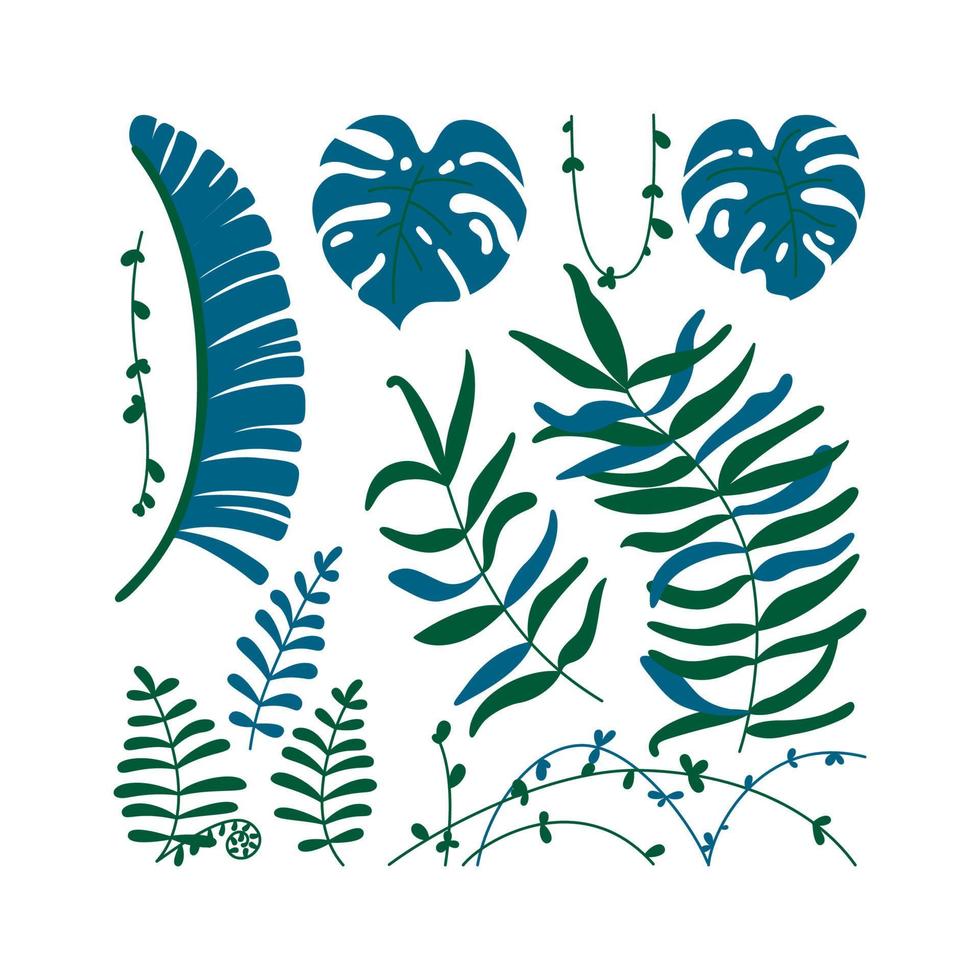 isolerat djungel löv och lianer. vektor illustration i platt stil