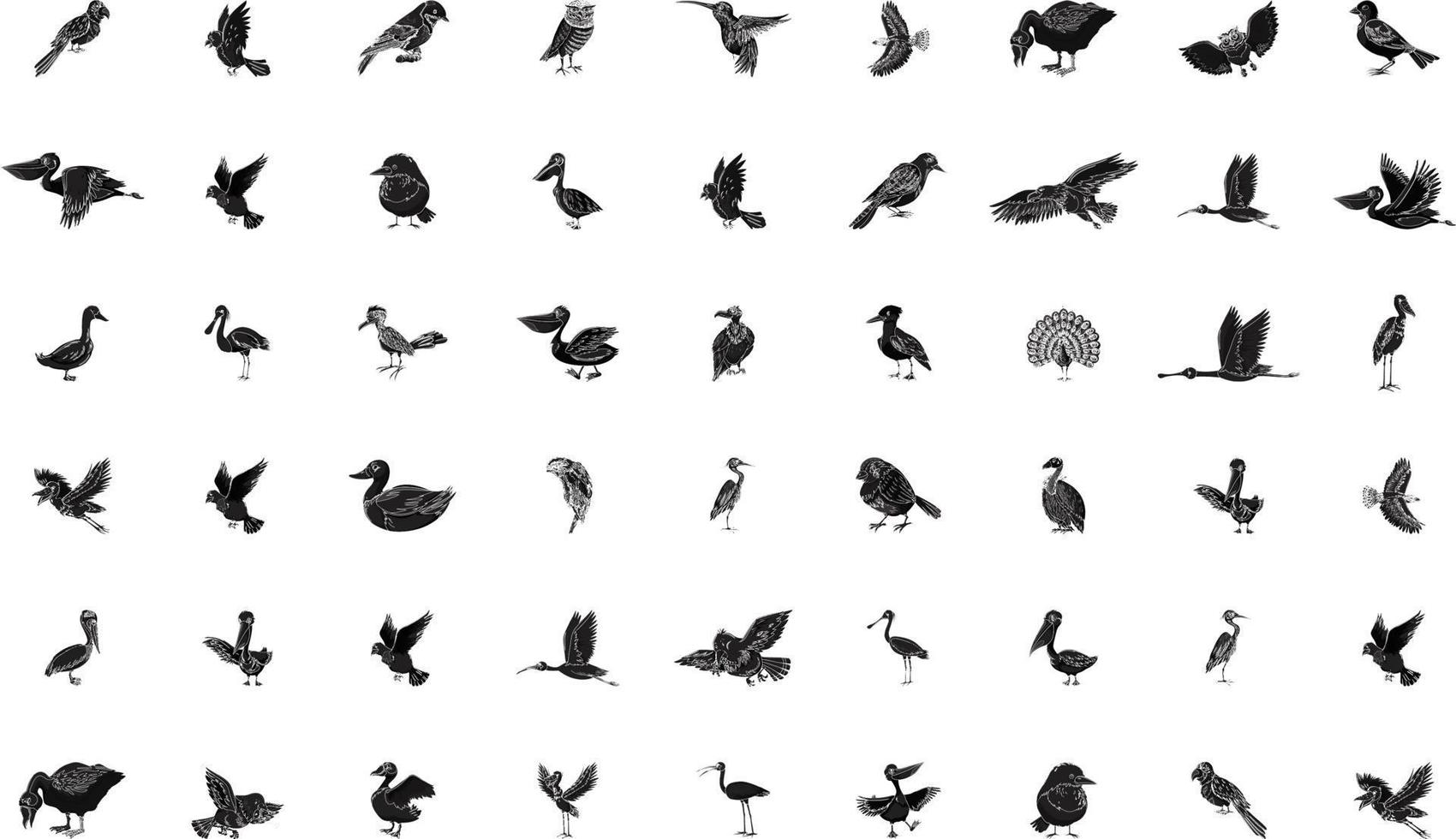 Reihe von niedlichen kleinen Vögeln isoliert auf weißem Hintergrund vektor