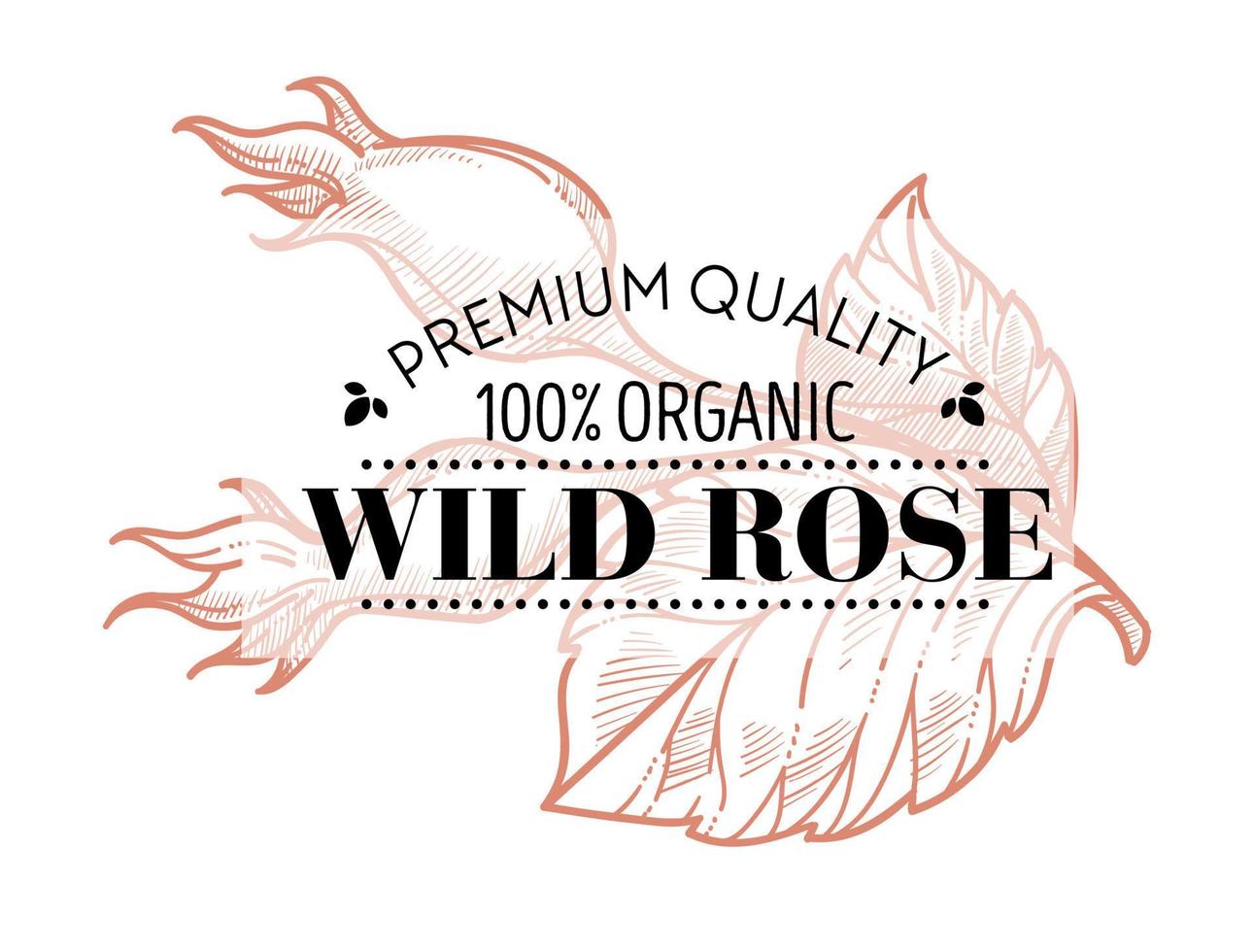 Wildrose Premium Qualität 100 Prozent Bio vektor