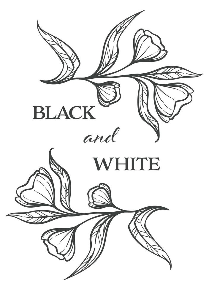 svart och vit blommor, flora svartvit skiss översikt vektor