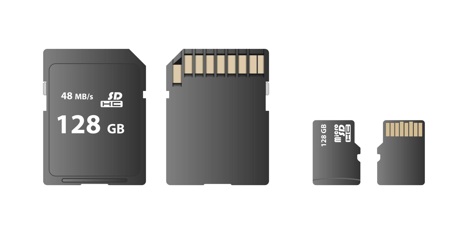 Speicherkarte, SD-Karte und Micro-SD-Kartensatz vektor