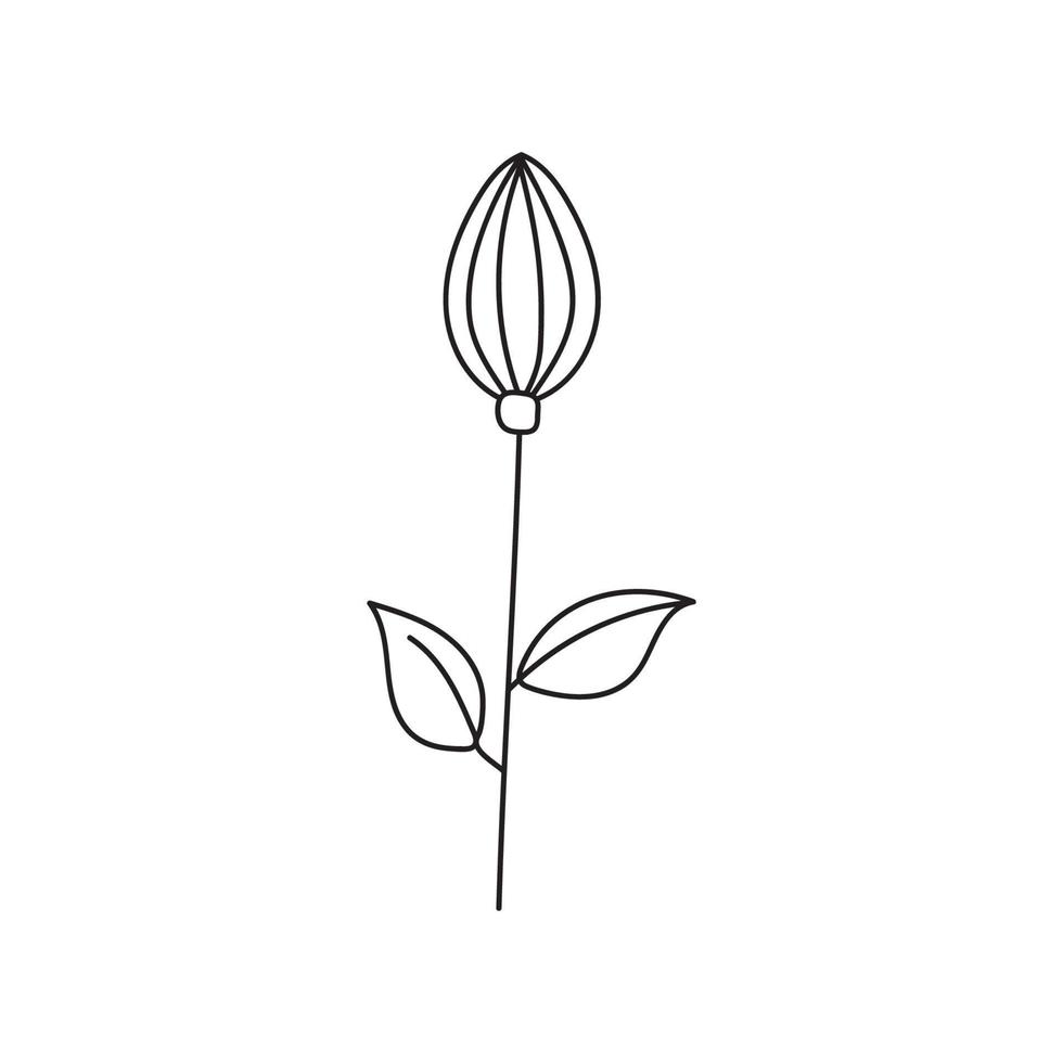 hand gezeichnete illustration von blumen vektor