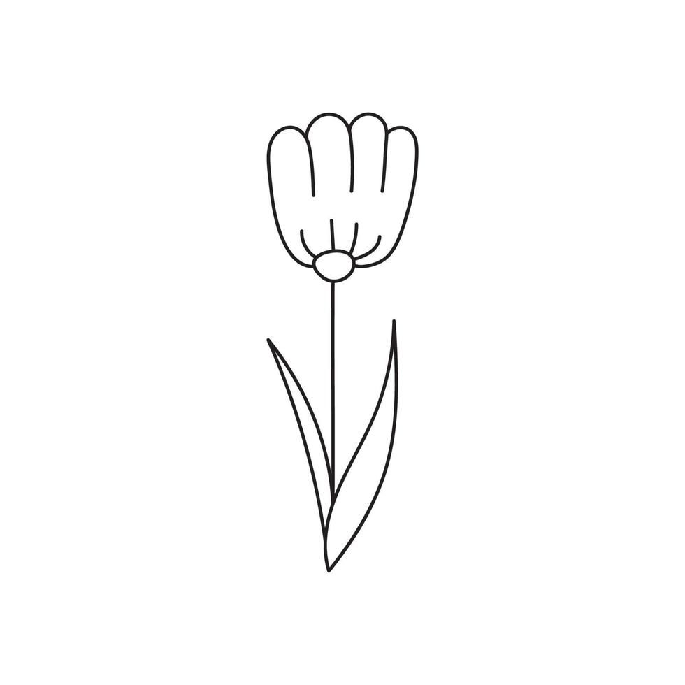 hand gezeichnete illustration von blumen vektor