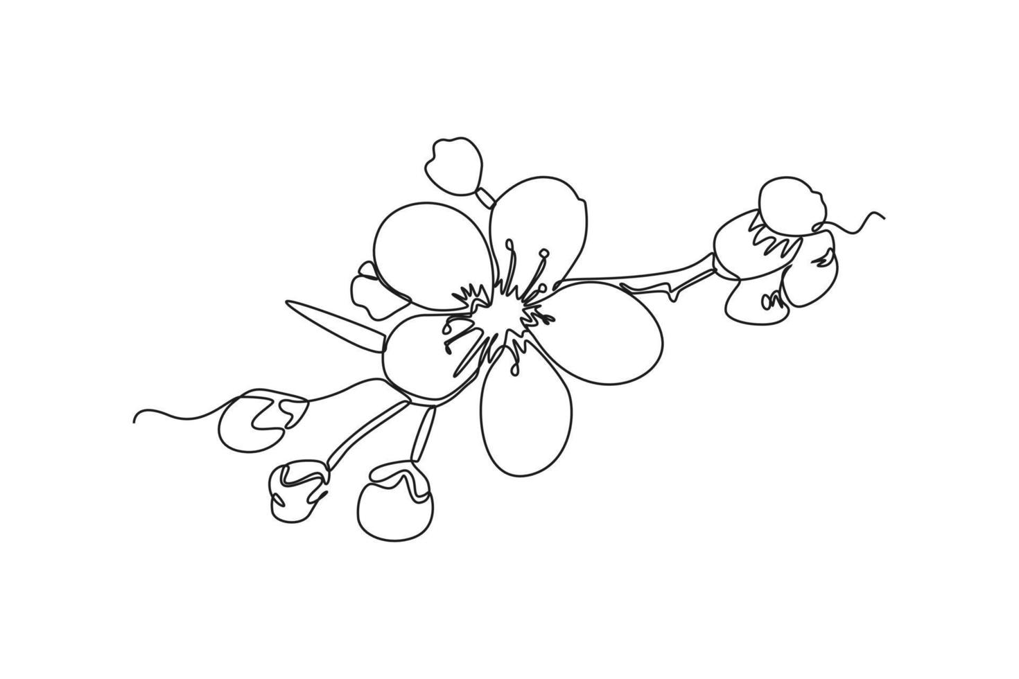 einzelne einstrichzeichnung kirschbaum frühlingsblume. Kirschblütenkonzept. ununterbrochene Linie zeichnen grafische Vektorillustration des Designs. vektor