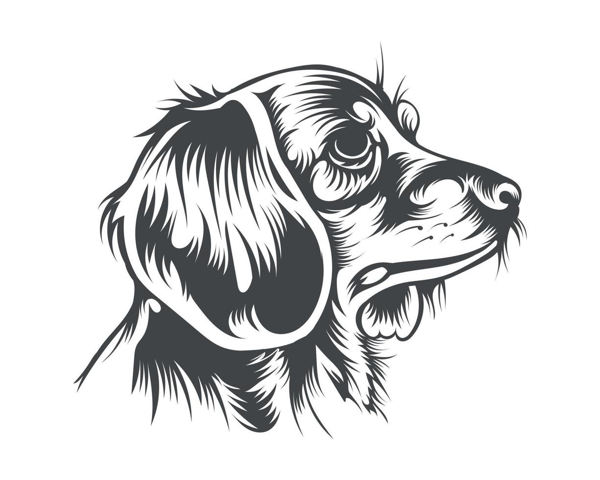 tax hund ras vektor illustration, tax hund vektor på vit bakgrund för t-shirt, logotyp, och andra