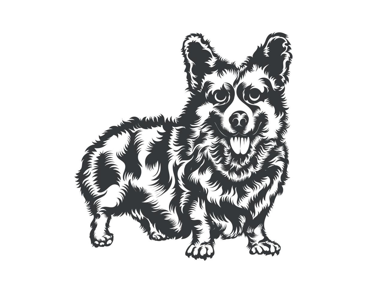 cardigan corgi hund vektor illustration silhuett för t-shirt, logotyp, märken på vit bakgrund