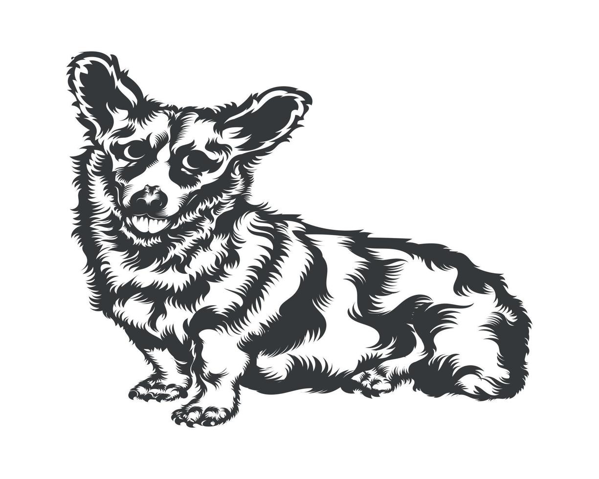 cardigan corgi hund vektor illustration silhuett för t-shirt, logotyp, märken på vit bakgrund