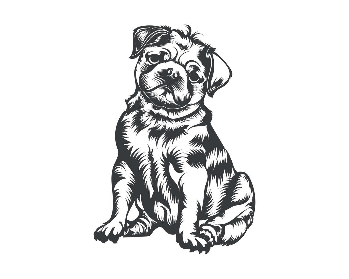 mops hund ras vektor illustration, mops hund vektor på vit bakgrund för t-shirt, logotyp och andra