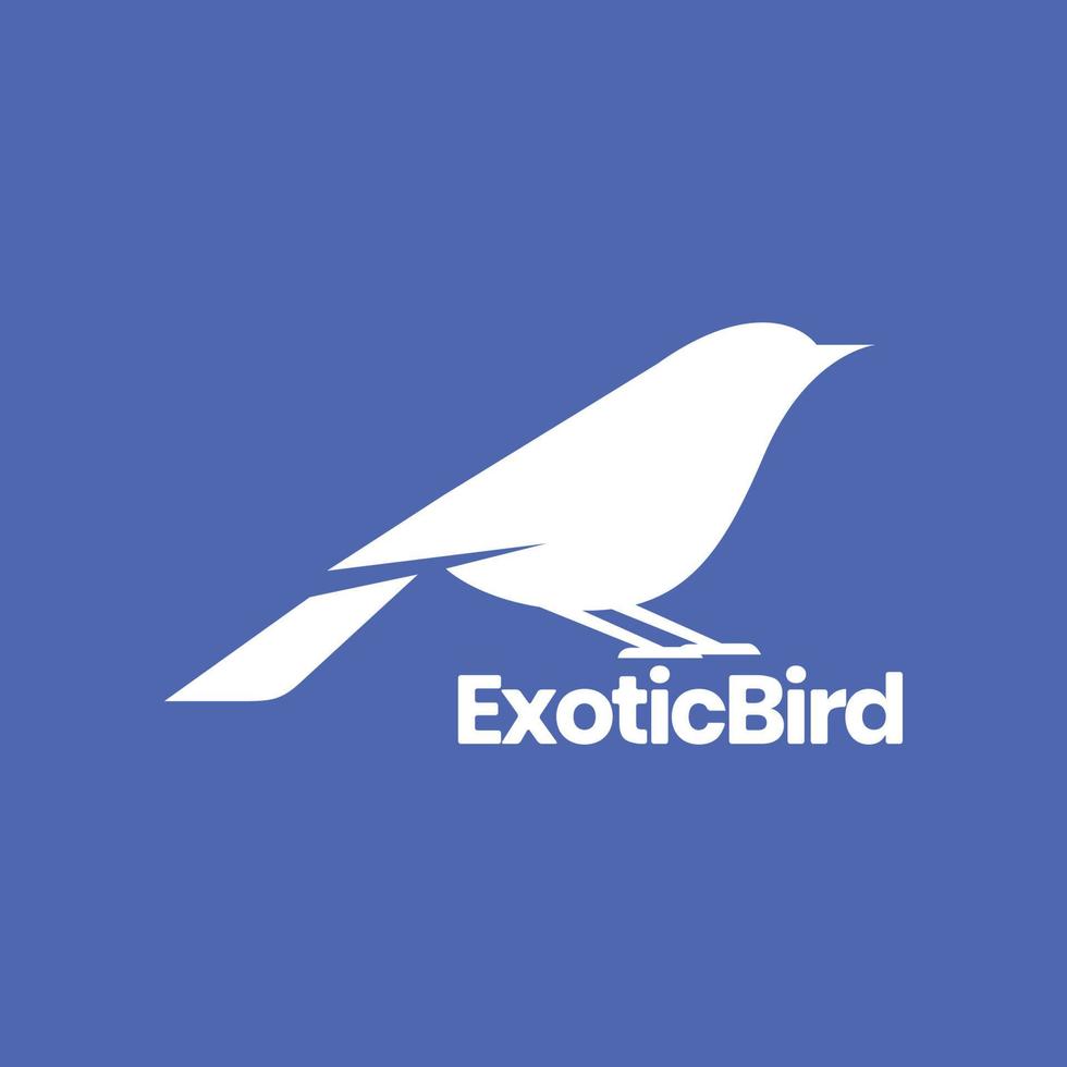 exotischer kleiner Vogel moderne isolierte minimale Logo-Design-Vektorsymbol-Illustrationsvorlage vektor