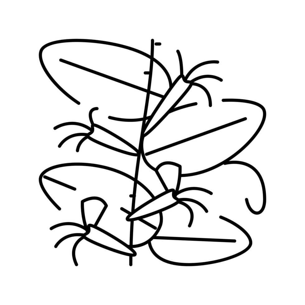 japansk kaprifol linje ikon vektor illustration