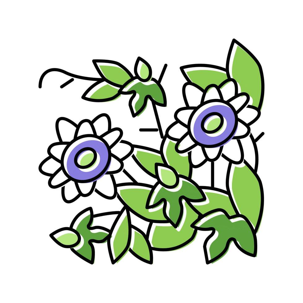 Passiflora Blume Liane Farbe Symbol Vektor Illustration