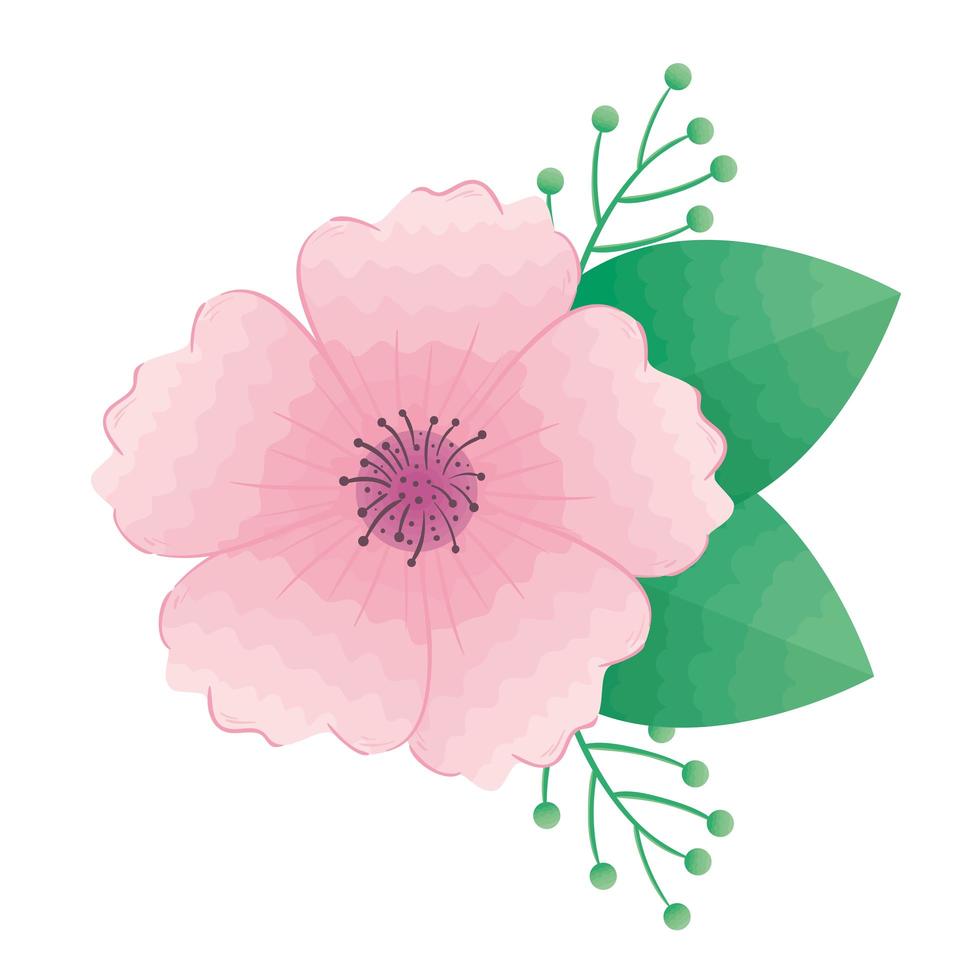 vacker blomma rosa och gröna blad dekorativa ikon vektor