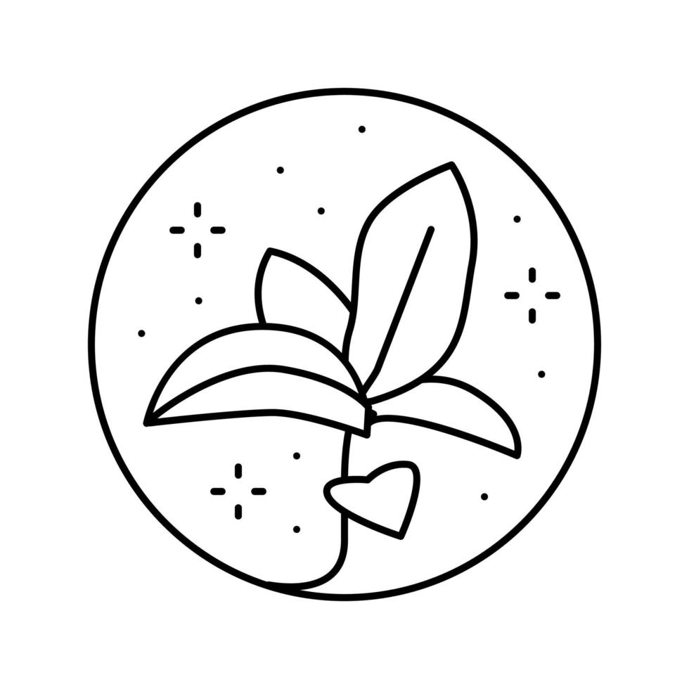 Blume Boho Linie Symbol Vektor Illustration