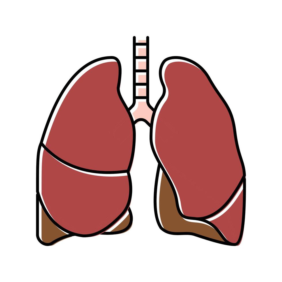 lunga mänskliga organ färg ikon vektorillustration vektor