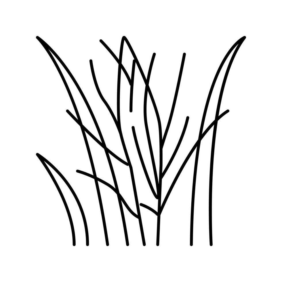 Blume Kokosnuss Kokoslinie Symbol Vektor Illustration