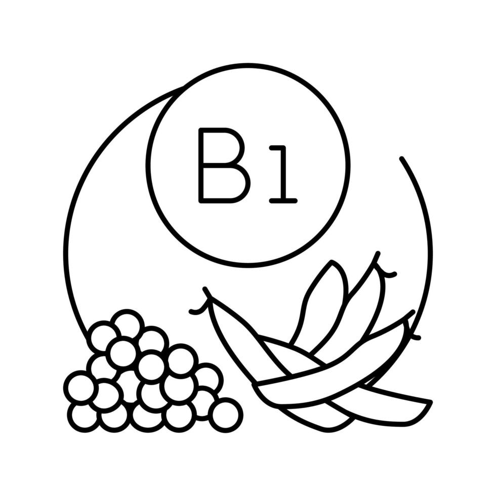b1 vitamin linje ikon vektor illustration