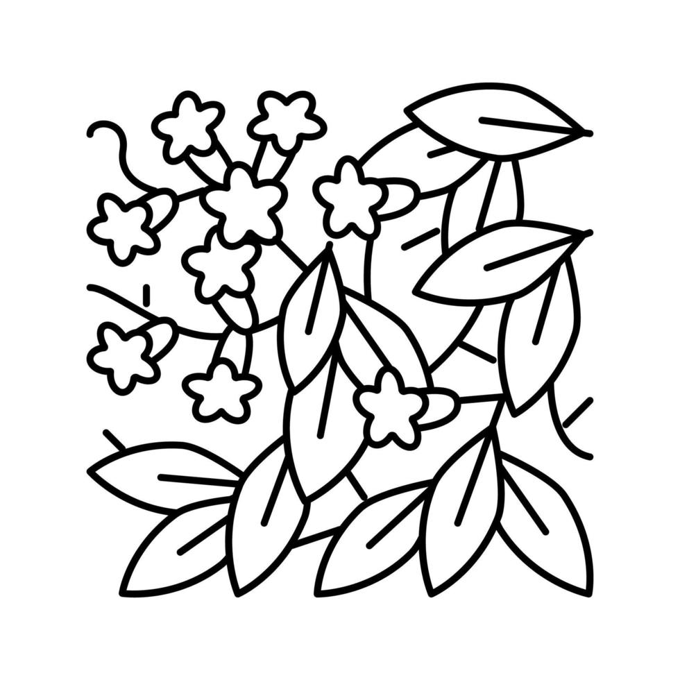 bignonia capreolata Symbol Leitung Vektor Illustration