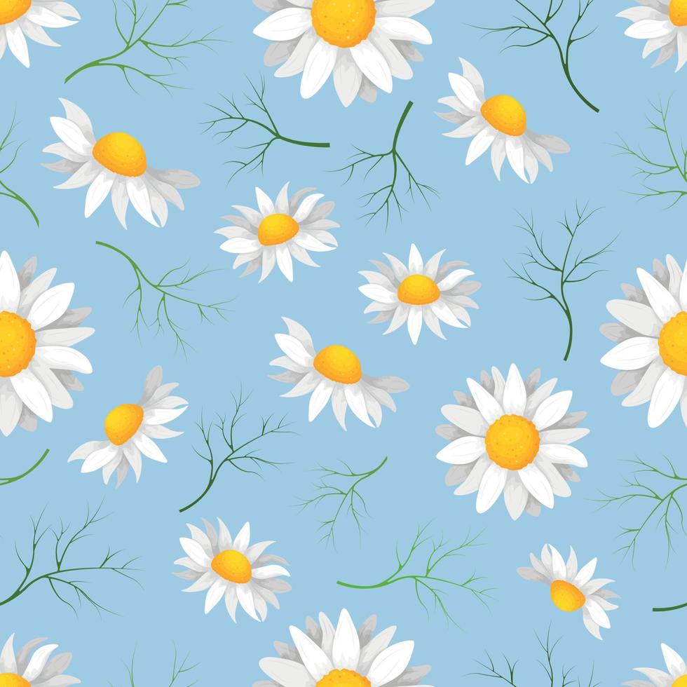 Gänseblümchen. Nahtloses Muster mit dem Bild von Kamillenblüten. Blumenmuster mit Gänseblümchen. Vektor-Illustration vektor