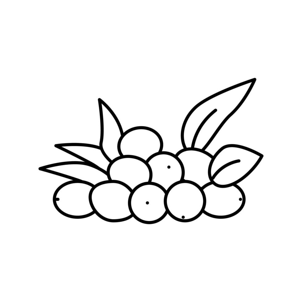 Olive natürliche Beeren Symbol Leitung Vektor Illustration