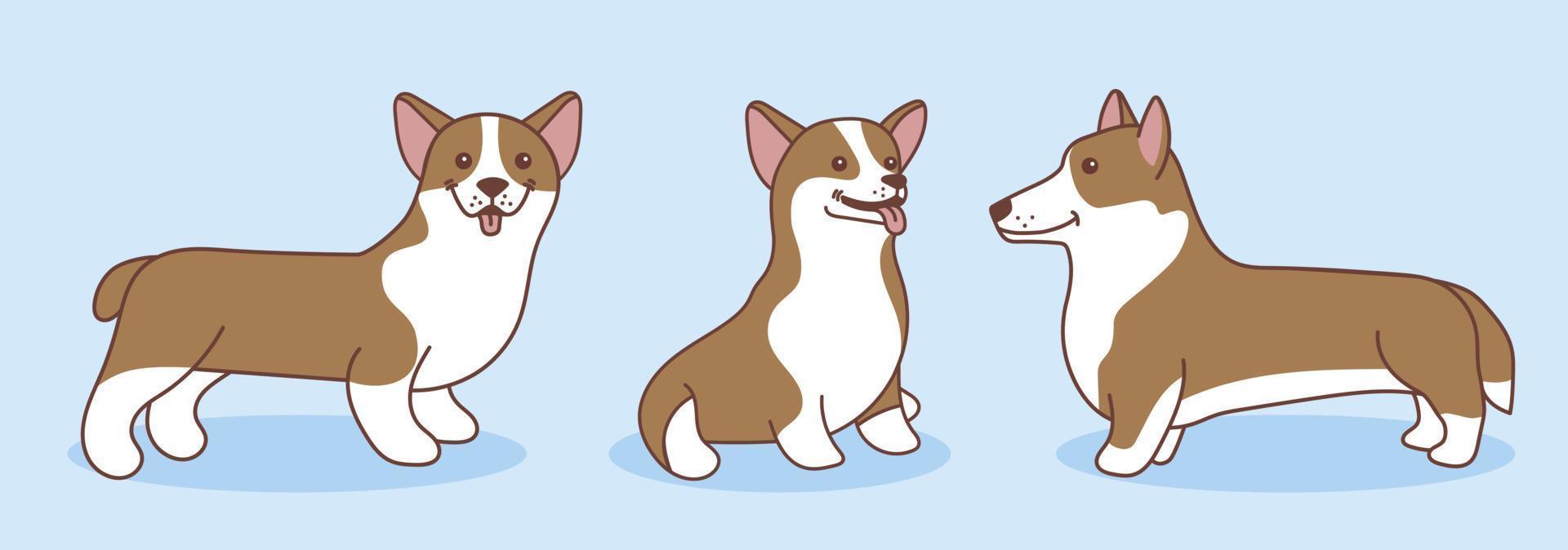 en uppsättning av vektor tecknad serie illustrationer av en corgi hund. de hundar är stående och Sammanträde med deras tunga ut, stående åt sidan, isolerat på en blå bakgrund. sällskapsdjur, djur, hund teman - platt stil.