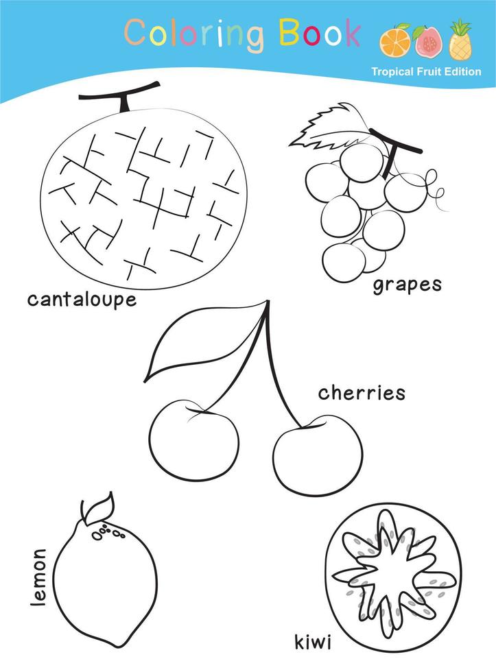 Arbeitsblatt zum Ausmalen von Früchten. Arbeitsblattseite zum Ausmalen von niedlichen Früchten. pädagogisches druckbares Arbeitsblatt zum Ausmalen. Vektor-Illustration. vektor