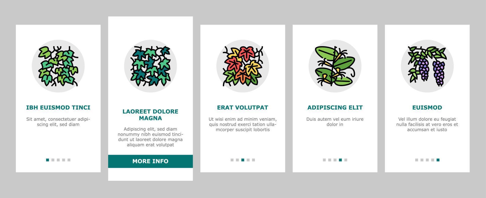 vin lian exotisk växande växt onboarding ikoner uppsättning vektor