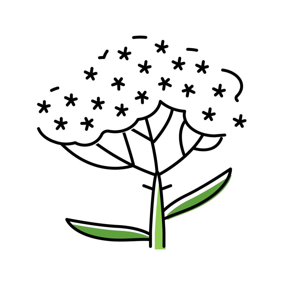 Schafgarbe Pflanze Farbe Symbol Vektor Illustration