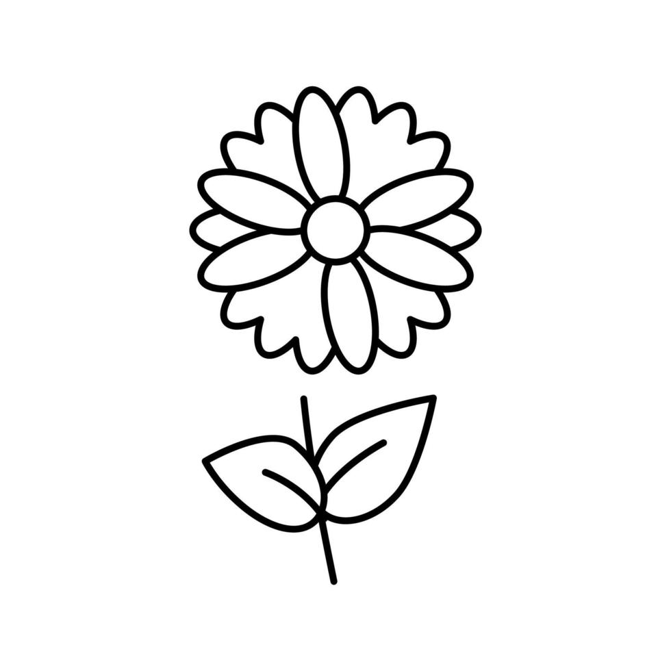 kamomill blomma aromaterapi linje ikon vektor isolerade illustration