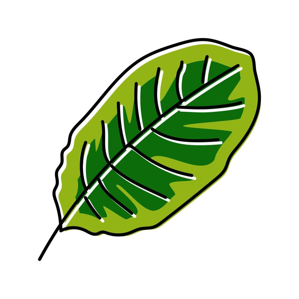Calathea tropisk blad Färg ikon vektor illustration