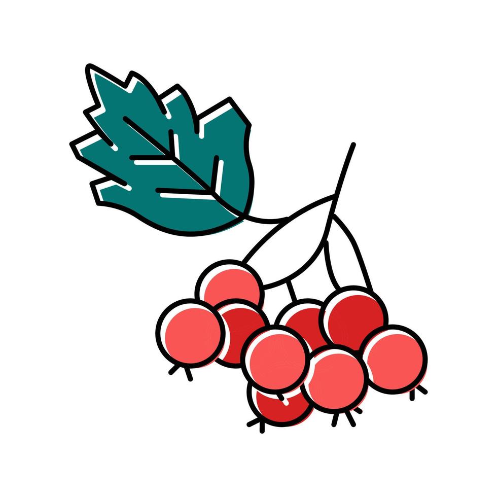 Weißdorn Beere Farbe Symbol Vektor Illustration
