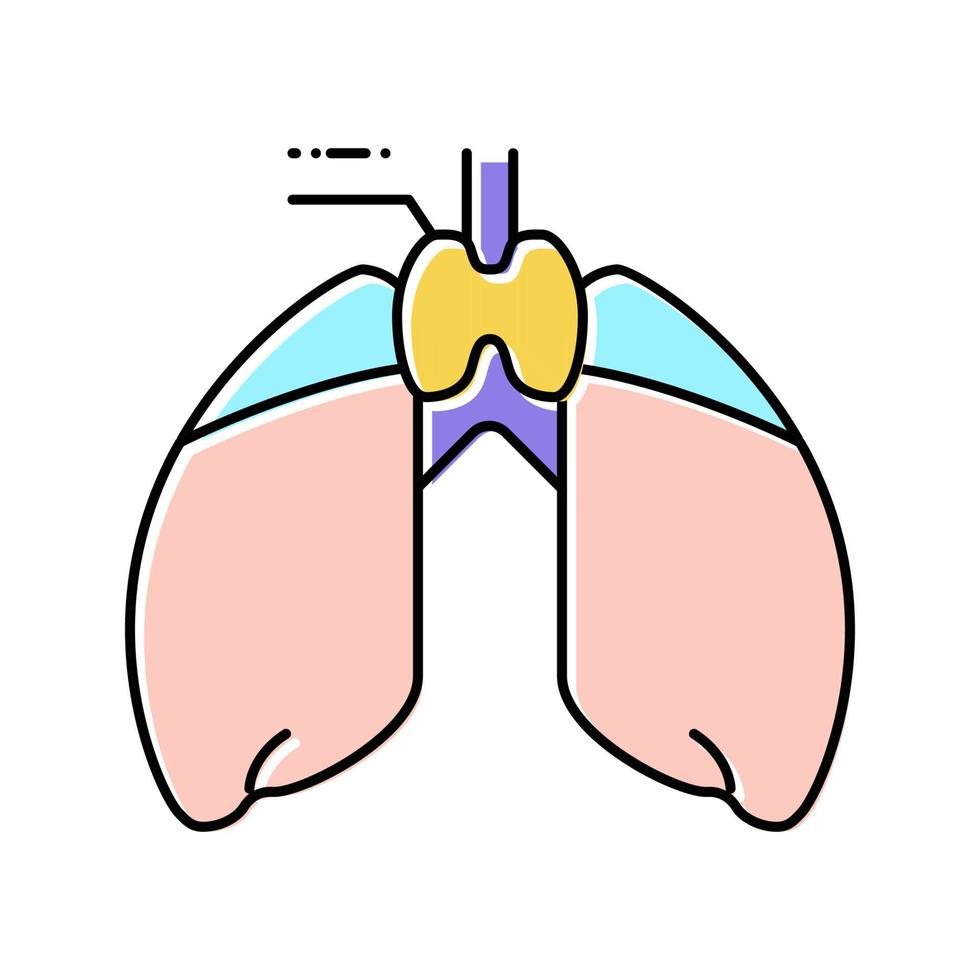 Thymus Endokrinologie Farbe Symbol Vektor Illustration