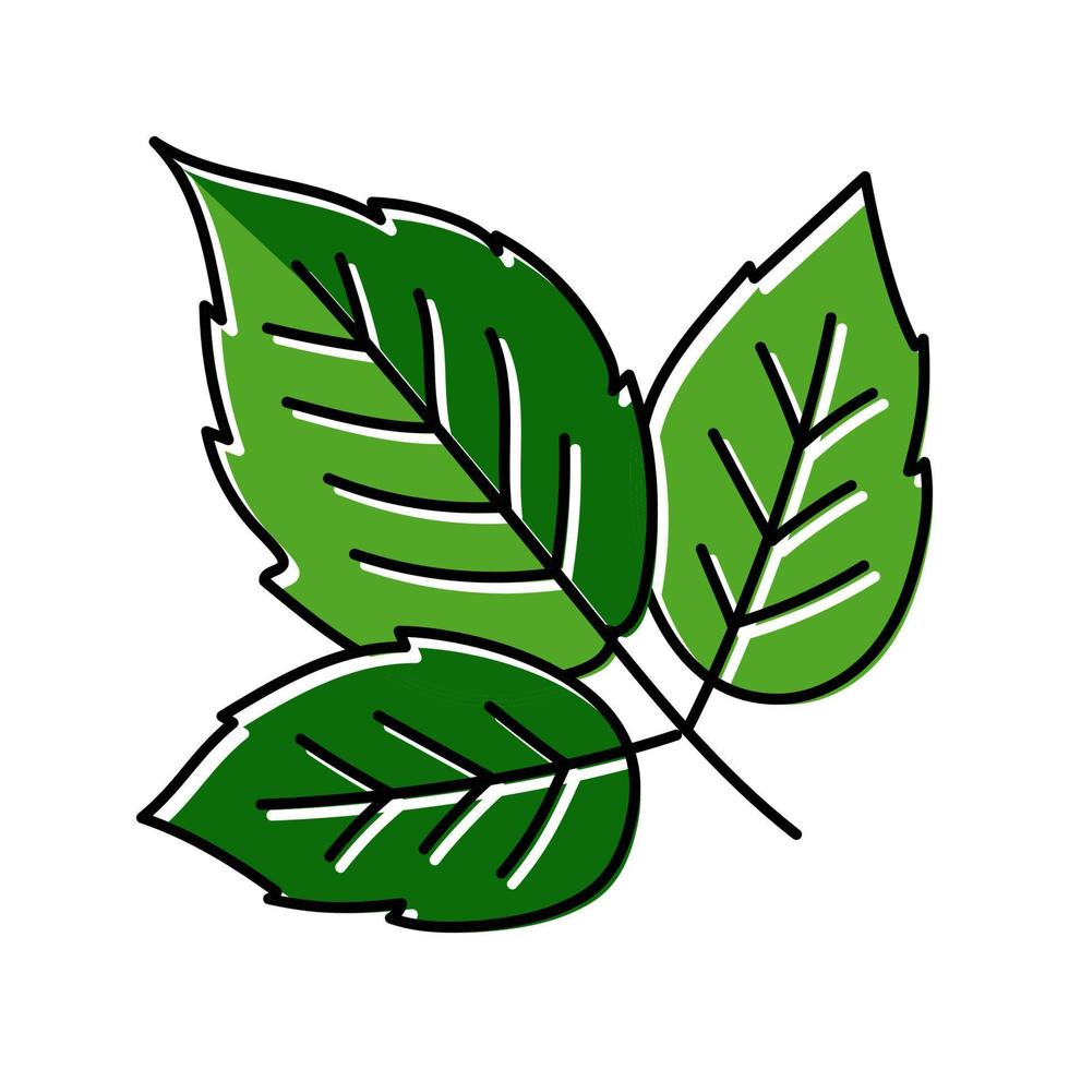 Blätter Himbeerfrucht Farbe Symbol Vektor Illustration