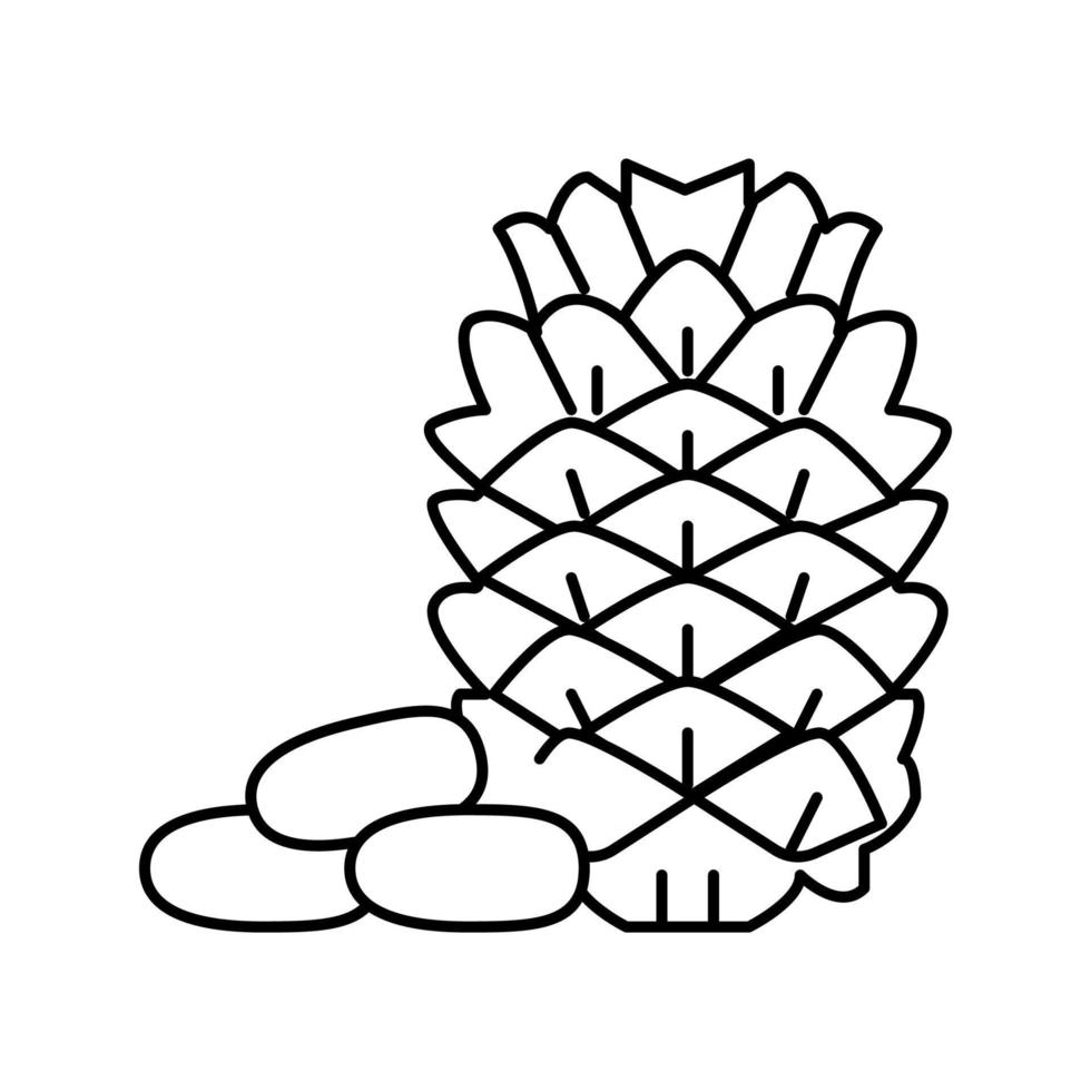 Pinienkernlinie Symbol Vektor Illustration