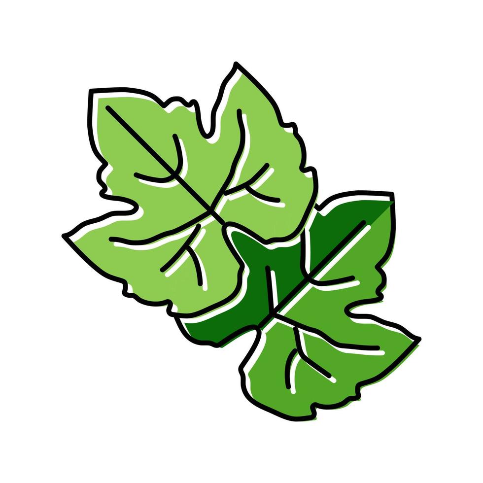 blad grön druva Färg ikon vektor illustration