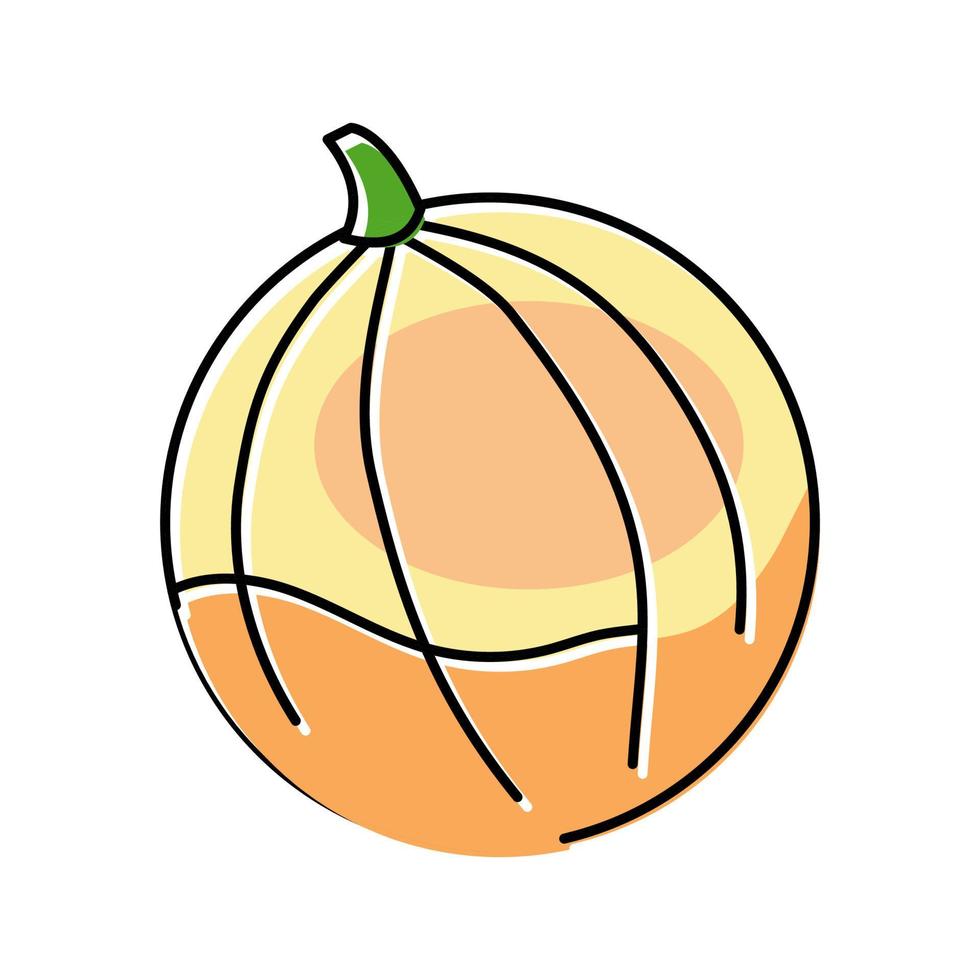 Melone runde Cantaloupe-Farbsymbol-Vektorillustration vektor