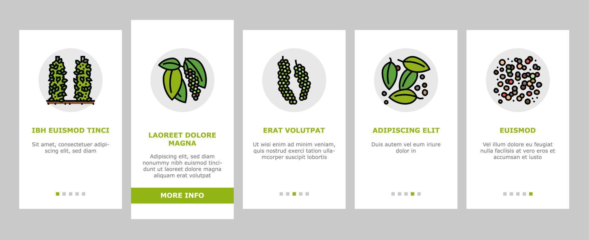 schwarze pfeffer aromatisch scharfe gewürze onboarding icons set vektor