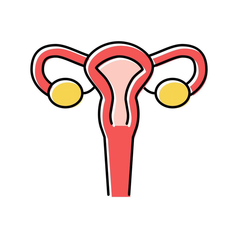 Uterus Frau Organ Farbe Symbol Vektor Illustration