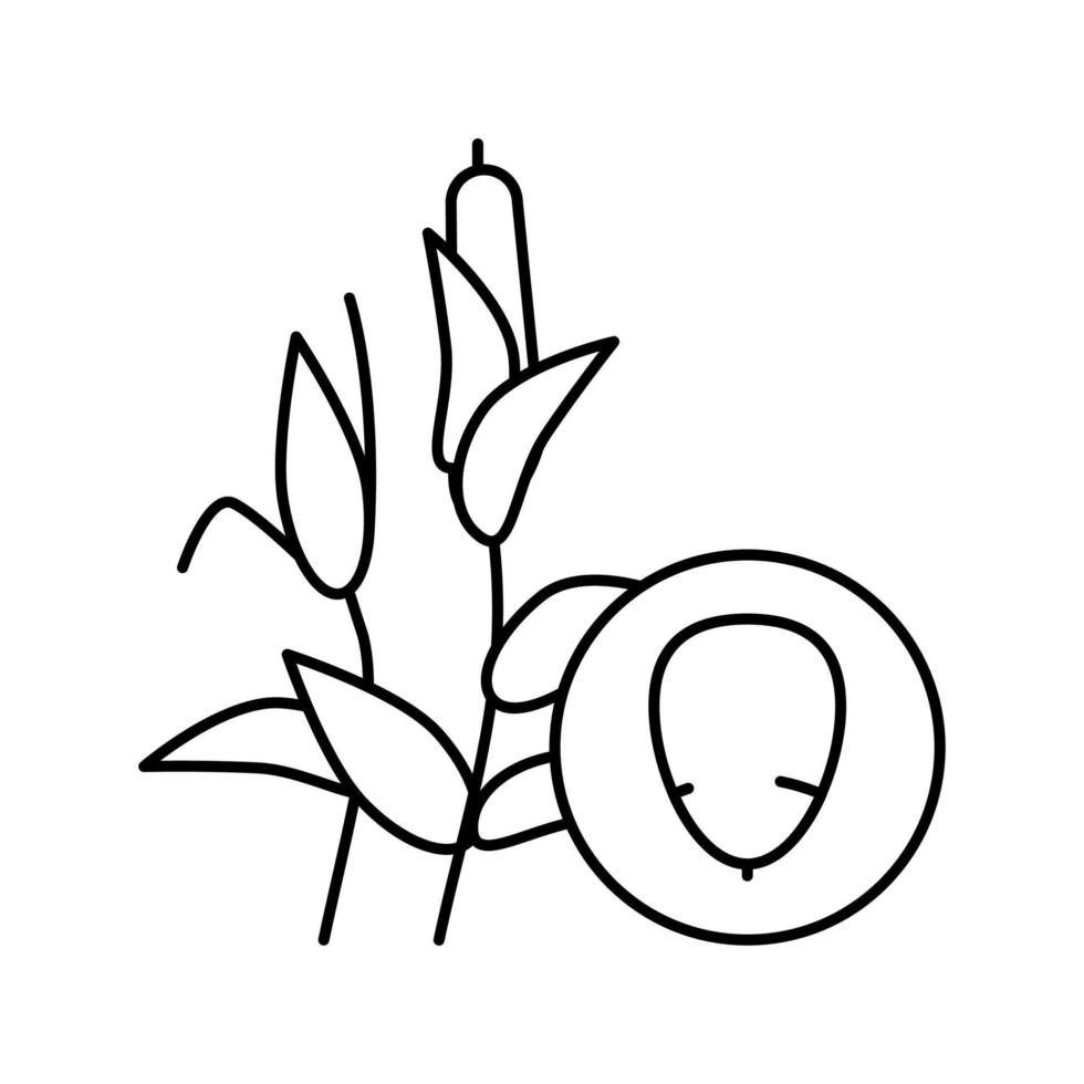 Maisgrütze Symbol Leitung Vektor Illustration