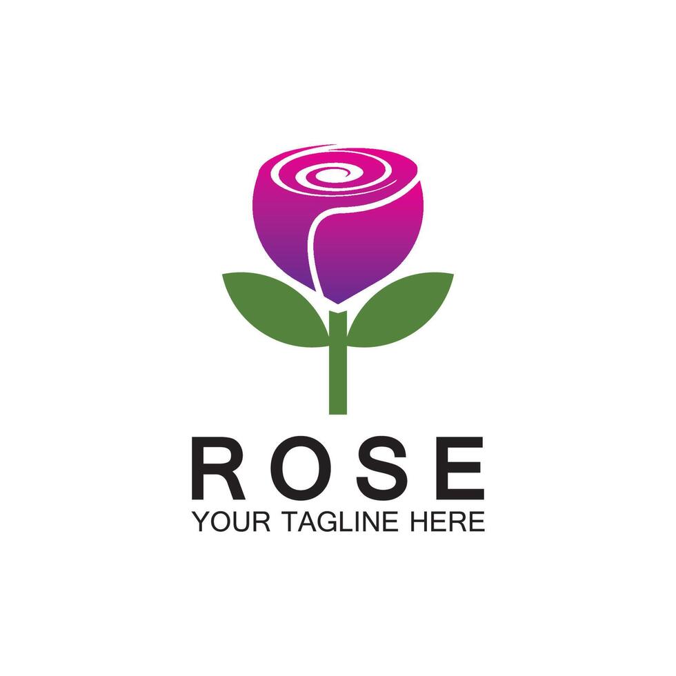 rose logo blume vektor symbol illustration design