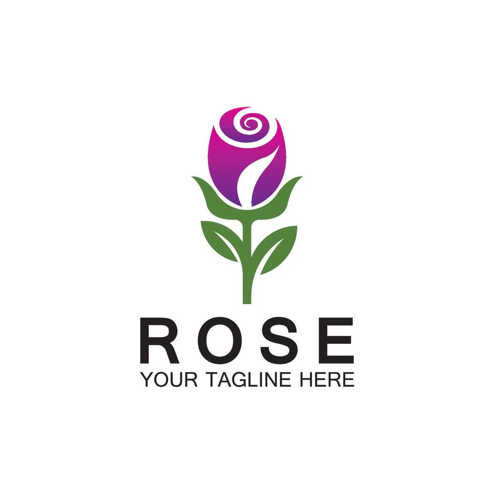 rose logo blume vektor symbol illustration design