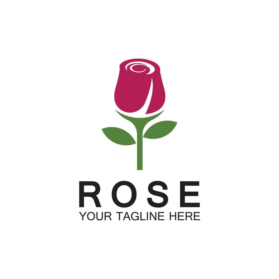 rose logo blume vektor symbol illustration design