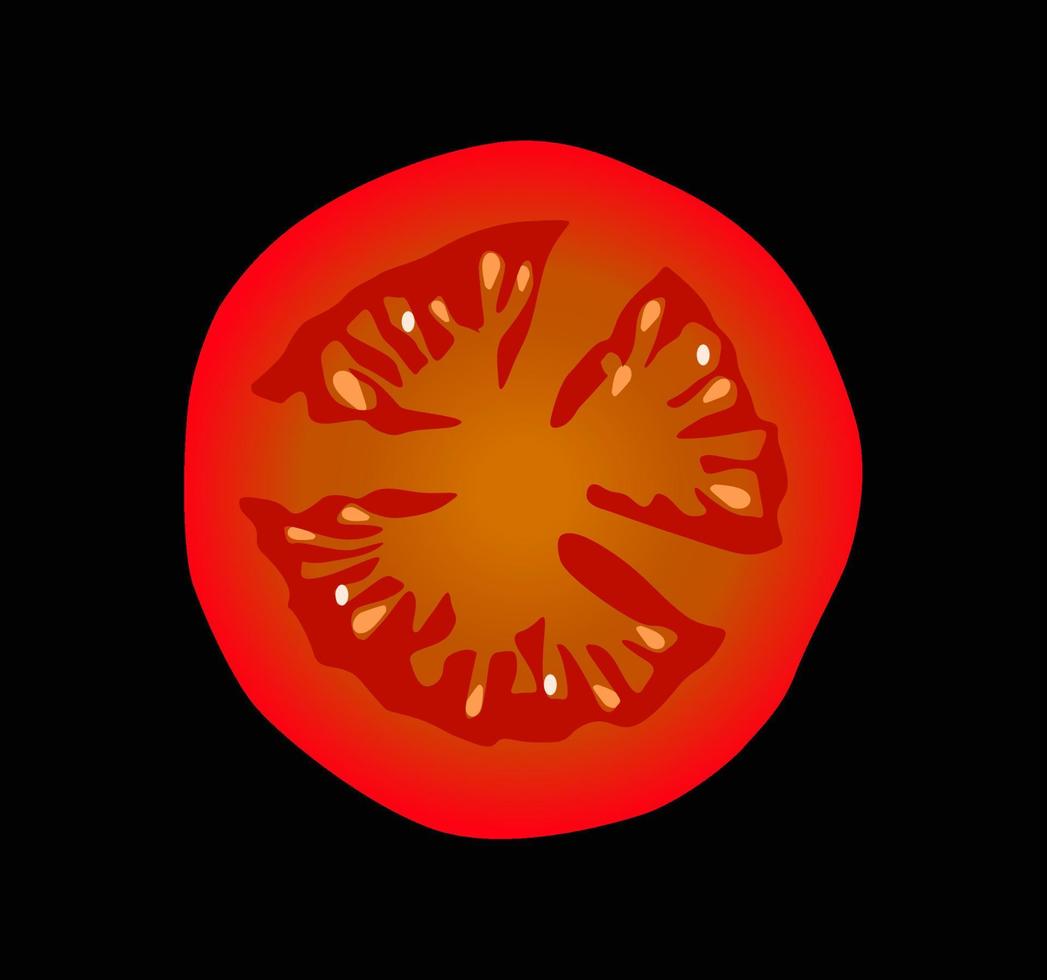 geschnittener Tomatenscheibenvektor. Schneiden Sie Tomaten Vektorgrafiken. vektor