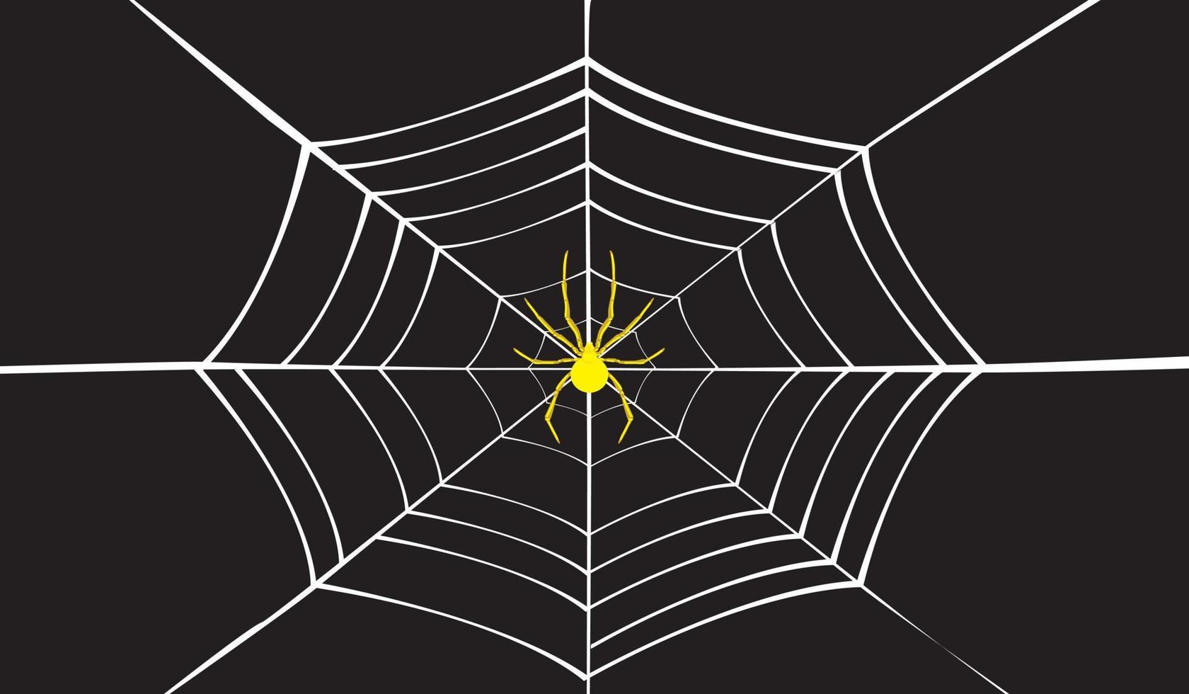 Spinnennetzvektor auf schwarzem Hintergrund vektor