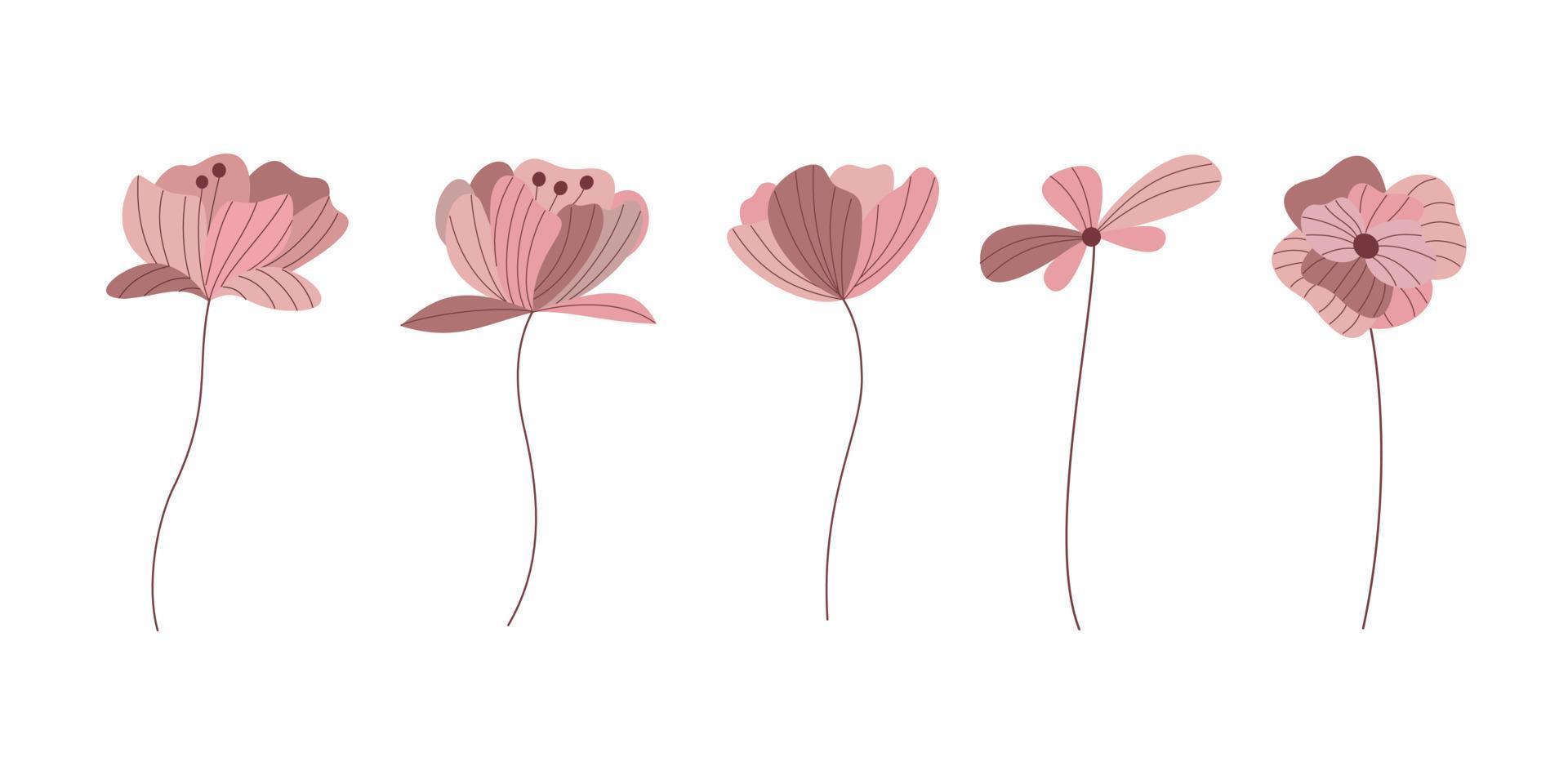 samling av rosa blomma i årgång stil vektor