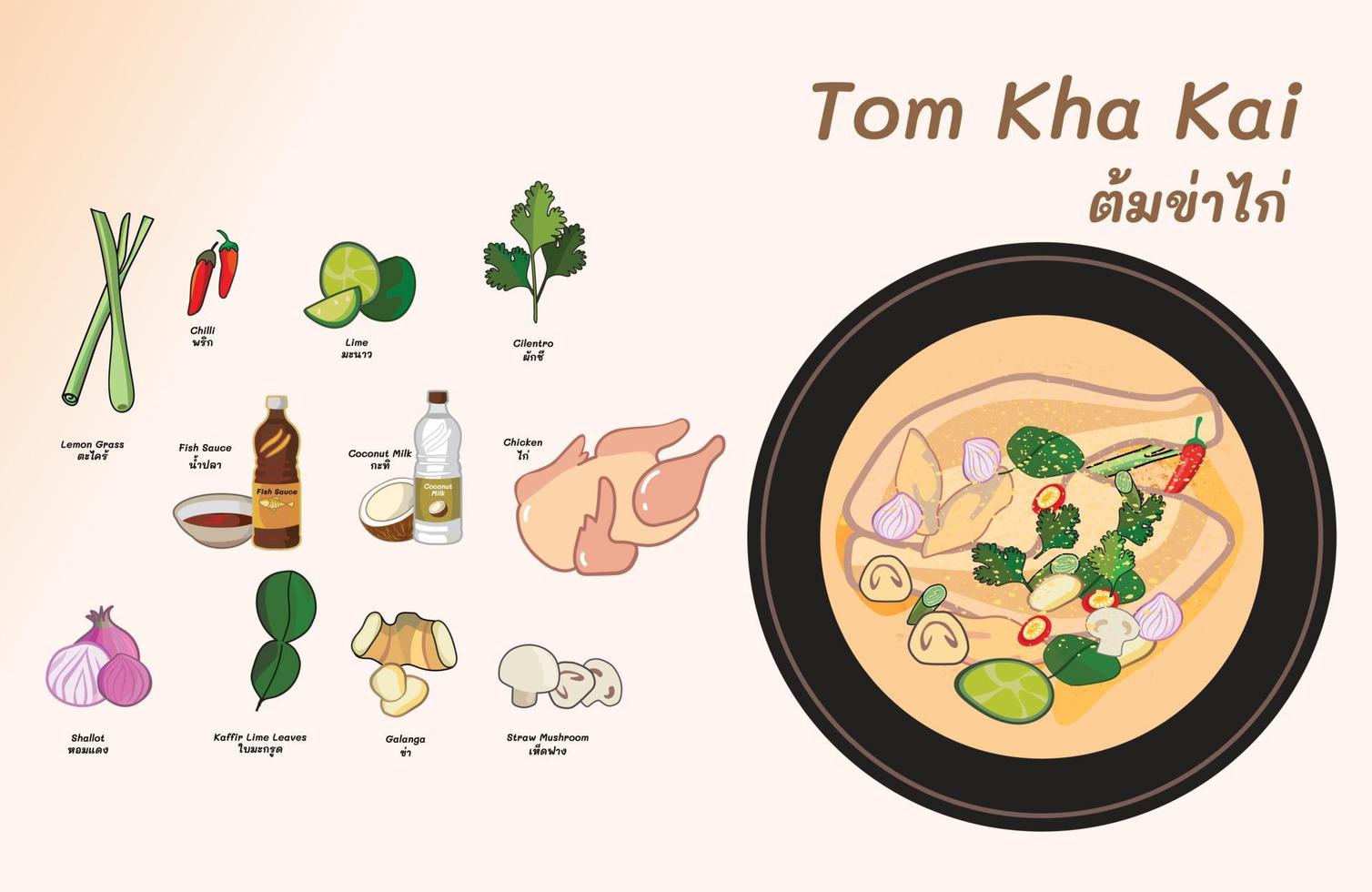 thailändisch Essen Tom kha kai Hähnchen thailändisch Essen Zutaten Tom yom hinzufügen Kokosnuss Milch vektor