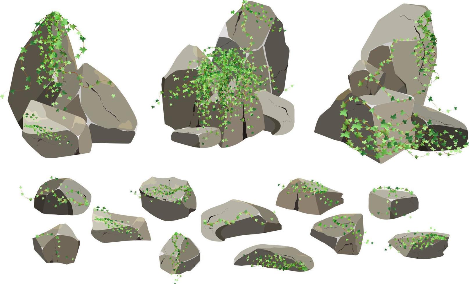 sammlung von steinen verschiedener formen und pflanzen. küstenkiesel, kopfsteinpflaster, kies, mineralien und geologische formationen. felsfragmente, felsbrocken und baumaterial. vektorillustration. vektor