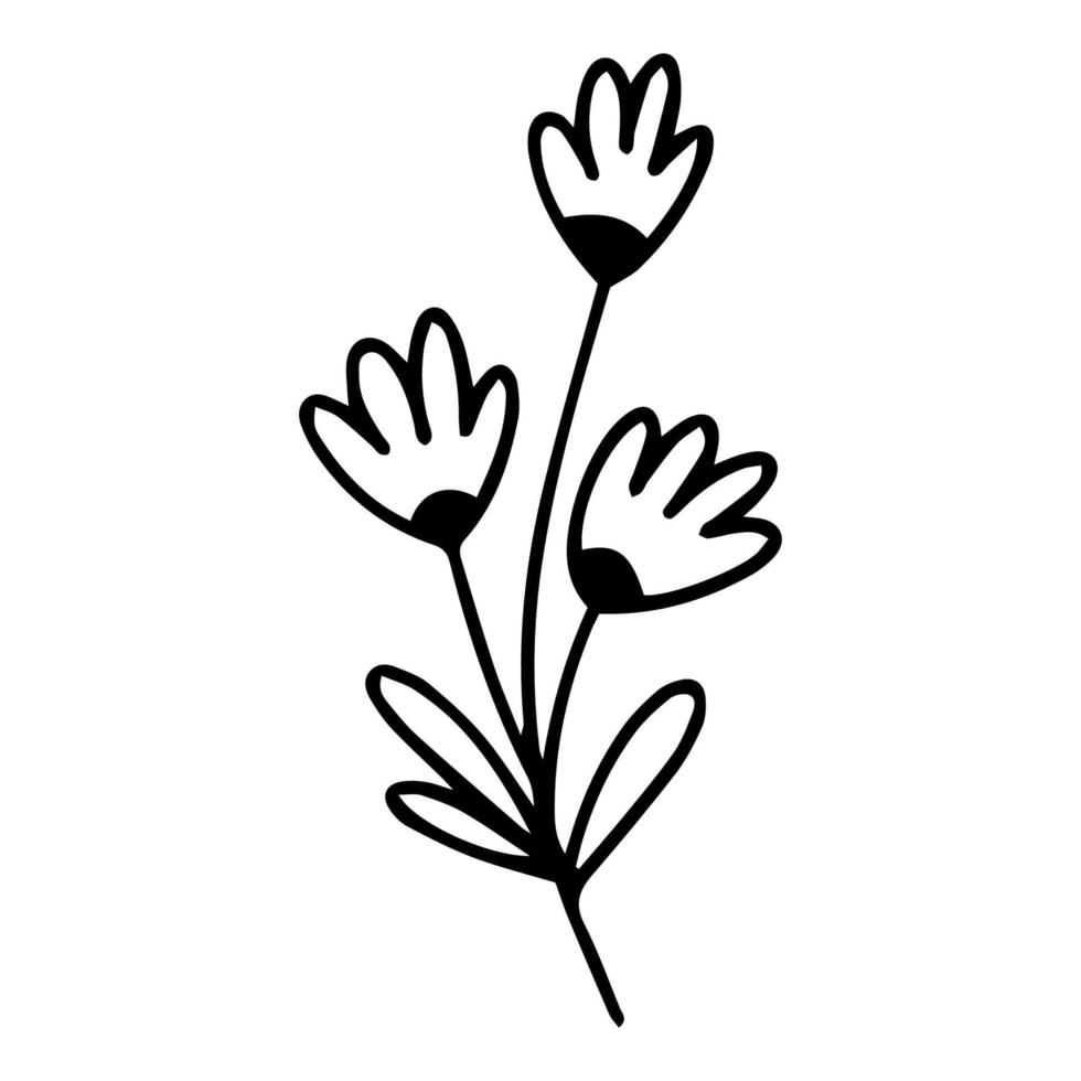 handgezeichnete Blume im Doodle-Stil. ein Linienvektor. vektor