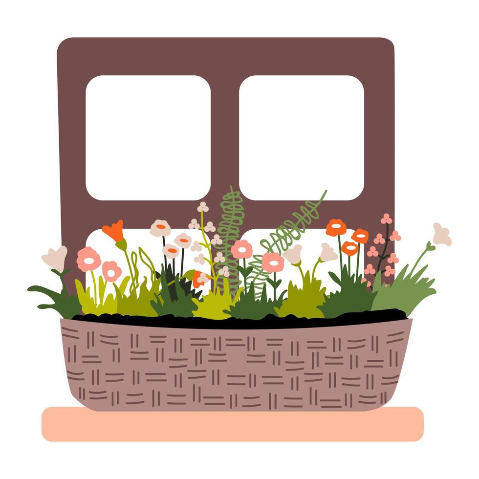 Garten Blumen und Kräuter im ein Korbweide Korb auf das Fenster. Frühling Zuhause Dekoration. Vektor Illustration